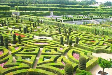 Giardino verde di Villandry, tipico per le sue forme geometriche e i suoi colori sgargianti