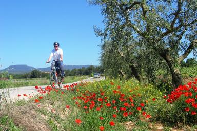 Signore che pedala lungo una strada bianca con affianco un ulivo e dei fiori rossi, nella comarca di Baix Empordà