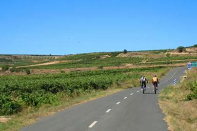 Strada asfaltata che passa in mezzo a due ampie vigne nella regione de La Rioja. Due ragazzi pedalano per raggiungere la tappa successiva del loro viaggio 