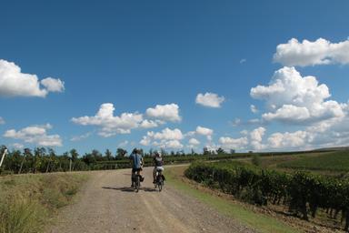 Nel mezzo della campagna toscana, due ragazzi, in bicicletta, percorrono una strada sterrata, sono avvolti da vigne e campi verdi